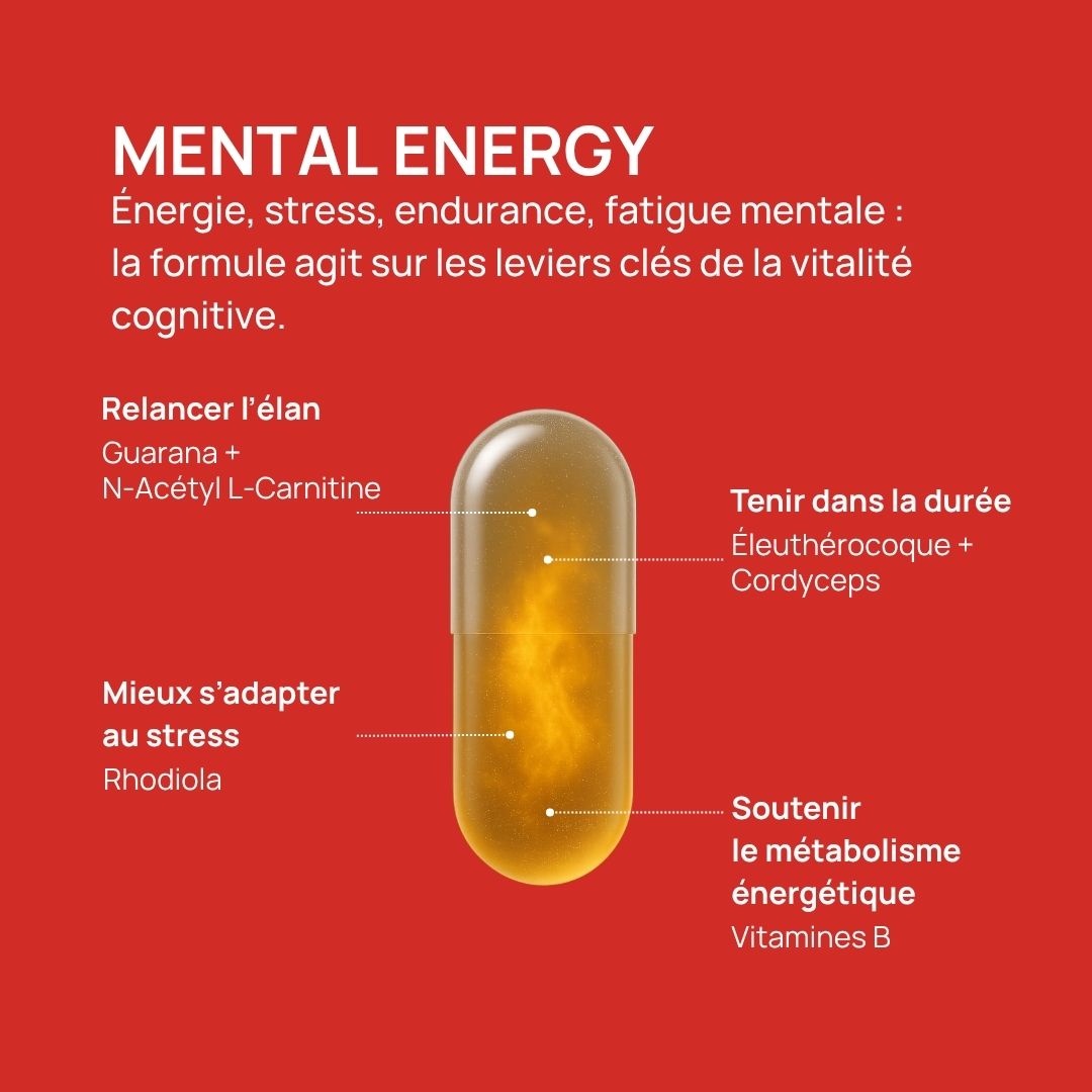 Mental Recovery | Énergie Mentale & Récupération