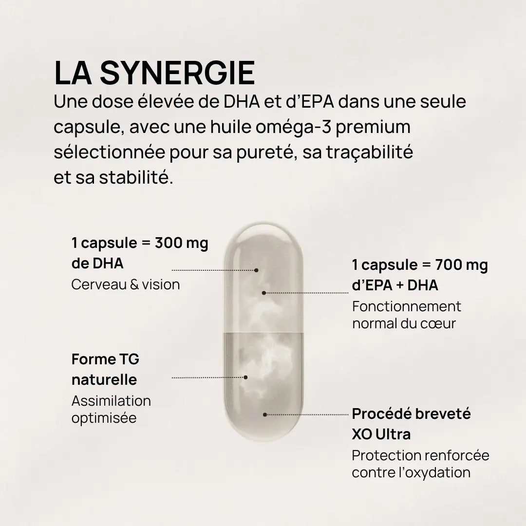 Composition de Daily Brain Nutrition avec DHA, EPA et huile oméga-3 premium