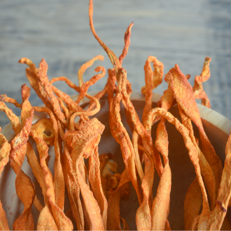 Cordyceps militaris un potentiel anti-inflammatoire lié à des cérébrosides bioactifs