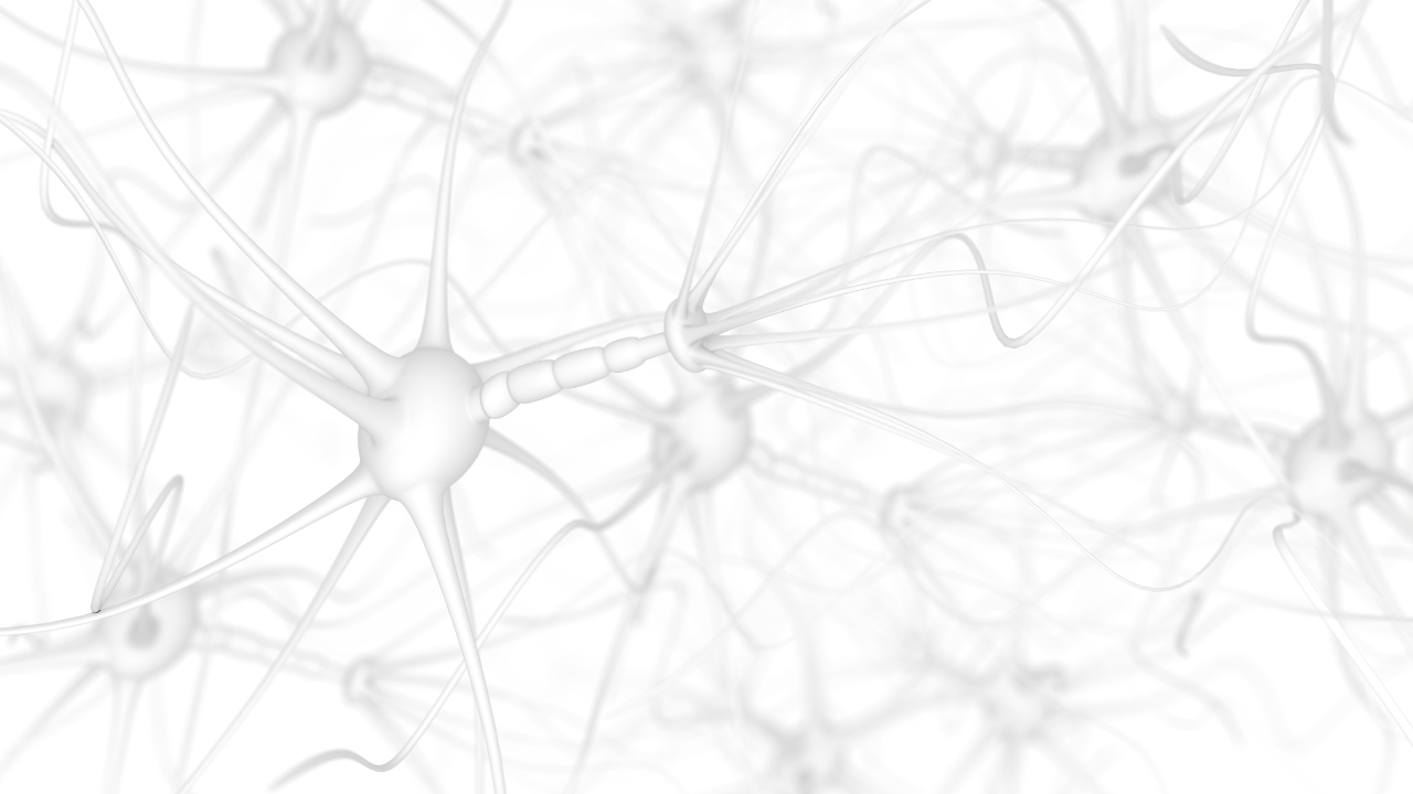 Neurosciences appliquées : comment fonctionne réellement le cerveau au quotidien