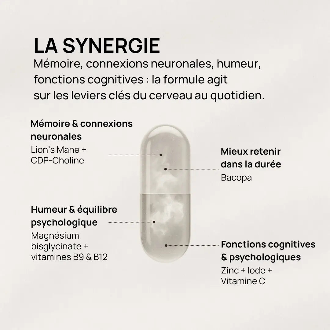 ynergie des actifs de Daily Brain Complex avec Lion’s Mane, Bacopa et CDP-Choline