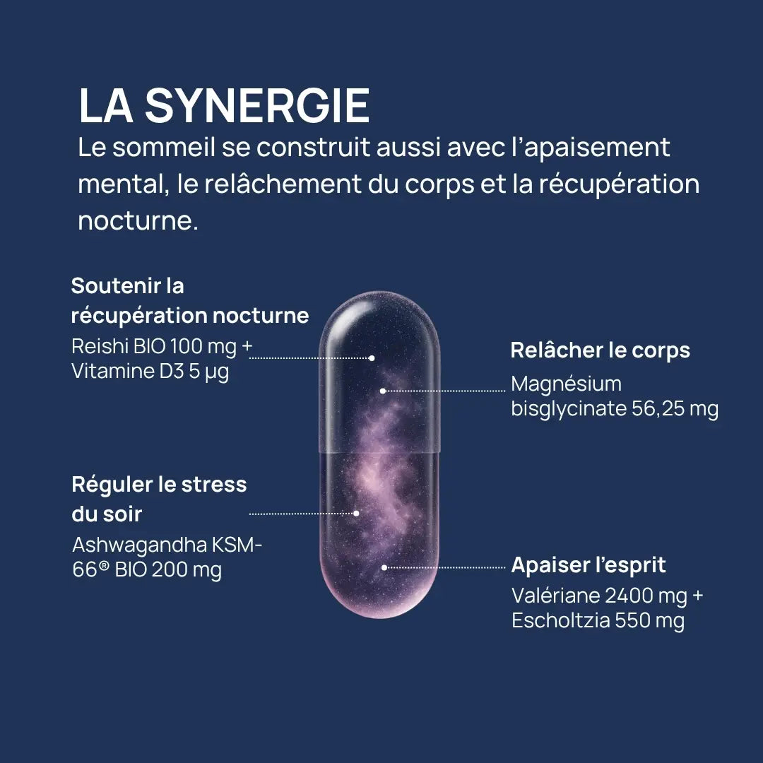 Synergie des actifs de Deep Sleep avec reishi, ashwagandha, magnésium et valériane