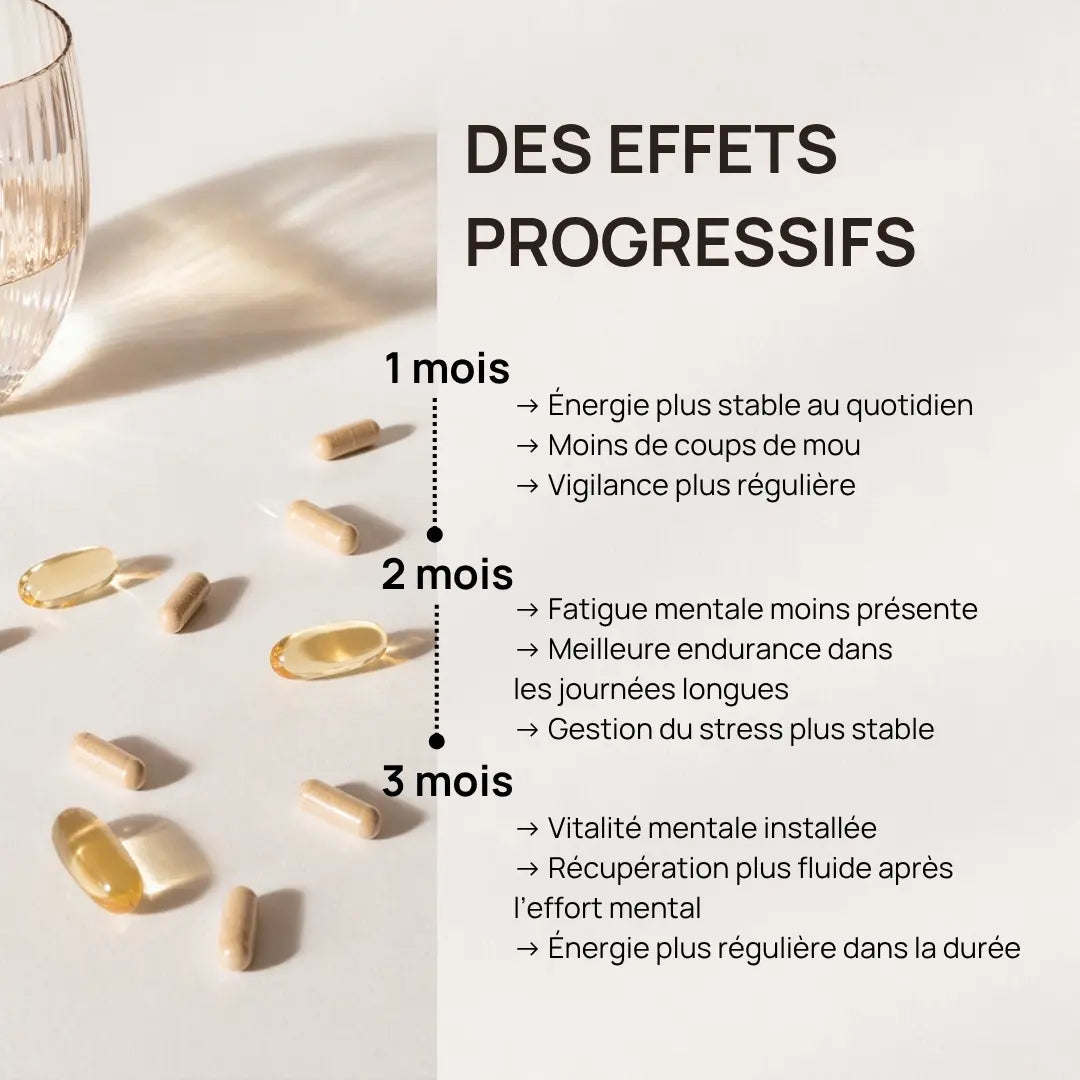 Effets progressifs de Mental Energy sur l’énergie mentale et l’endurance cognitive